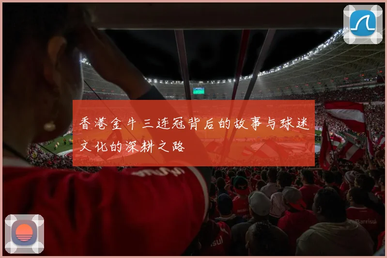 香港金牛三连冠背后的故事与球迷文化的深耕之路